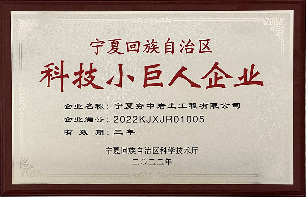 5寧夏回族自治區(qū)科技小巨人企業(yè).png 5寧夏回族自治區(qū)科技小巨人企業(yè).png